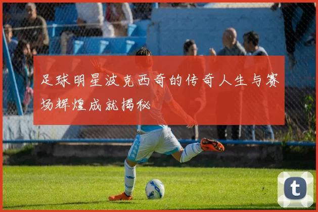 足球明星波克西奇的传奇人生与赛场辉煌成就揭秘