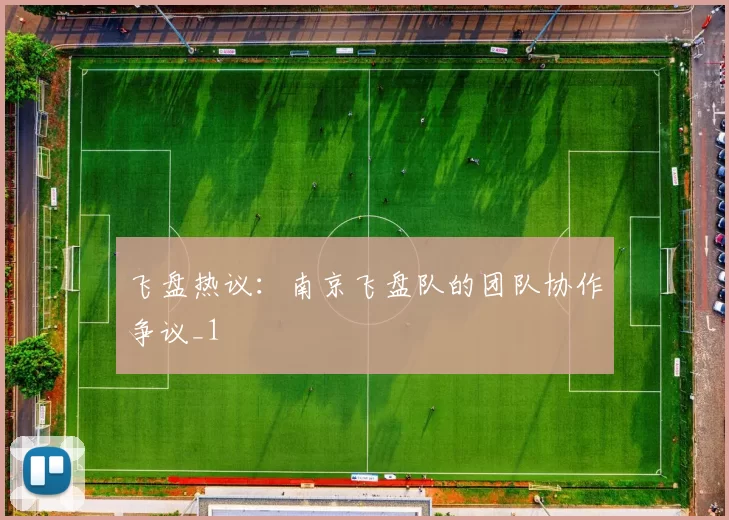 飞盘热议：南京飞盘队的团队协作争议_1