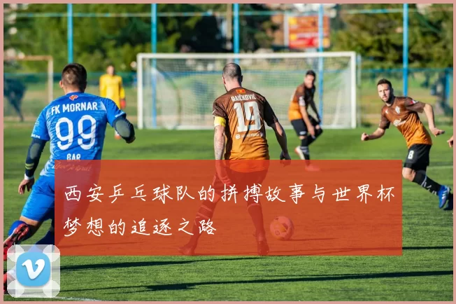 西安乒乓球队的拼搏故事与世界杯梦想的追逐之路