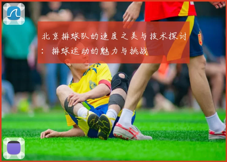 北京排球队的速度之美与技术探讨：排球运动的魅力与挑战