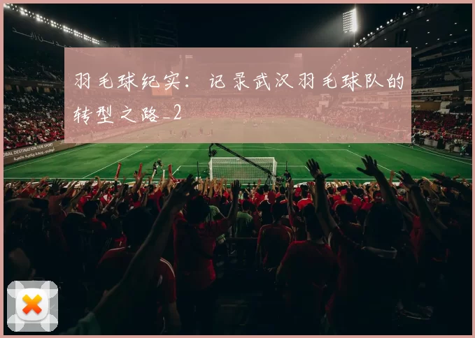 羽毛球纪实：记录武汉羽毛球队的转型之路_2