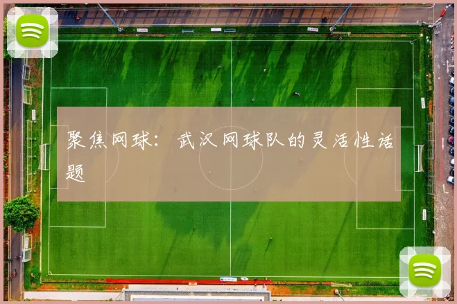 聚焦网球：武汉网球队的灵活性话题