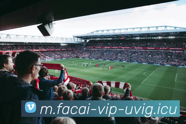 乐鱼体育注册品牌故事