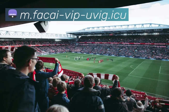 乐鱼体育注册服务体系